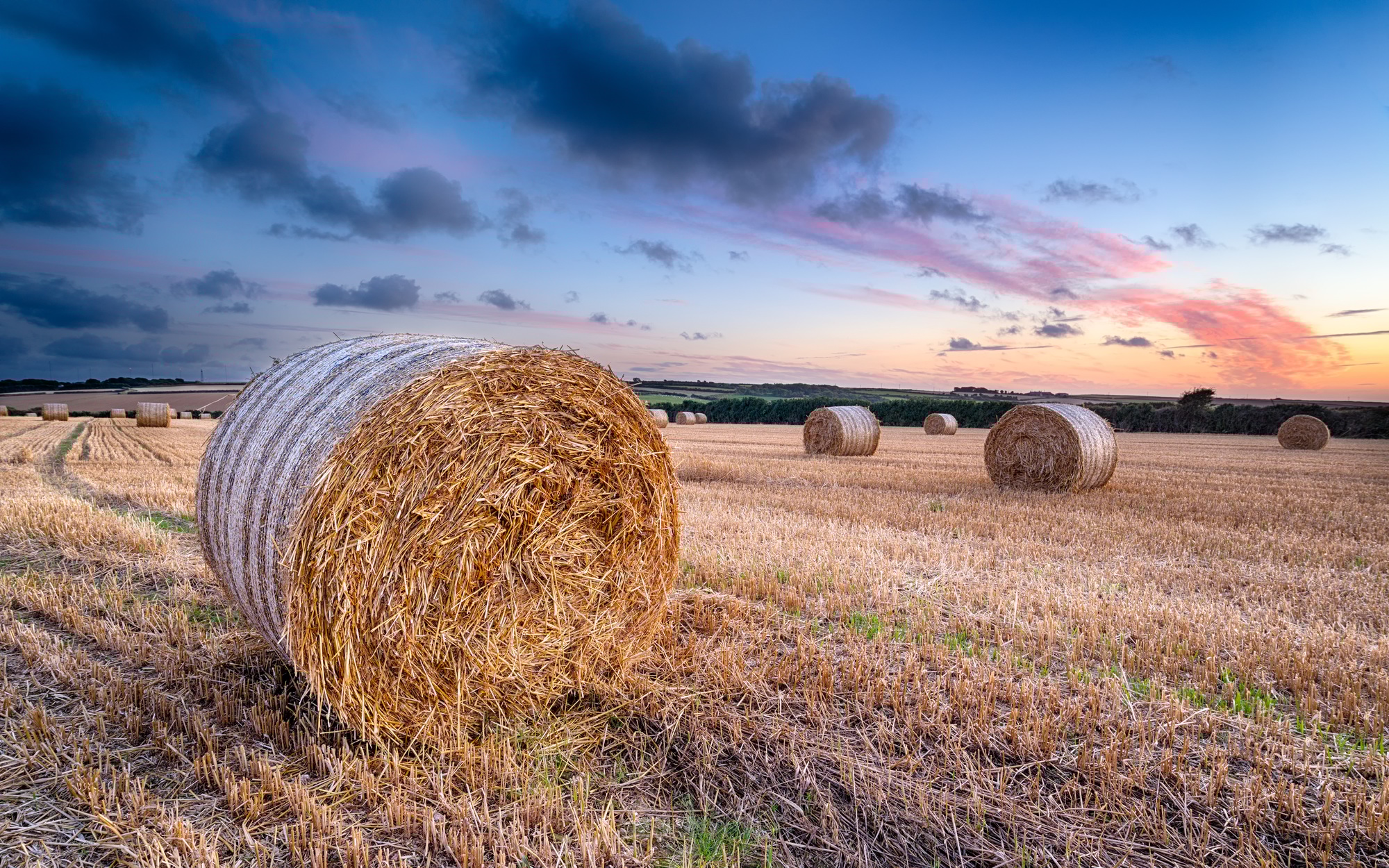 Harvest Sunset